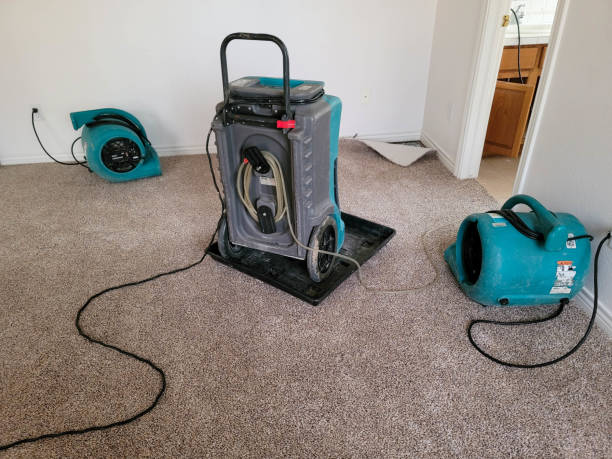 Best Flooded house restoration  in Mount Oliver, PA