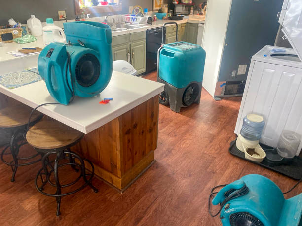 Best 24/7 water damage repair  in Mount Oliver, PA