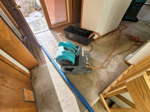 Best Water damage cleanup near me  in Mount Oliver, PA