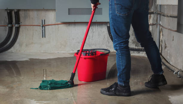 Best Water damage contractors near me  in Mount Oliver, PA