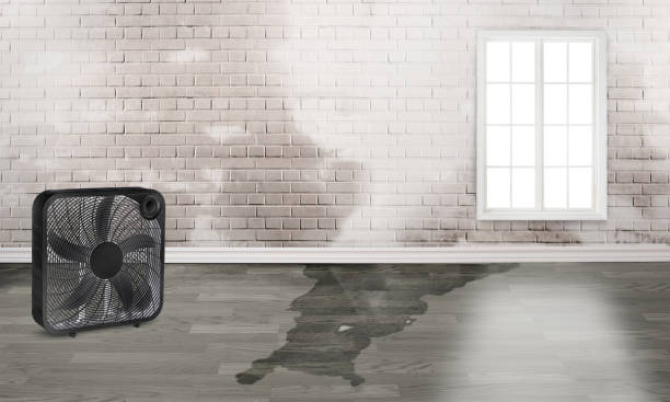 Best Flood restoration services  in Mount Oliver, PA