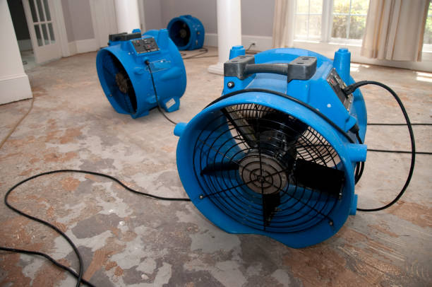 Best Sewage cleanup and water damage restoration  in Mount Oliver, PA