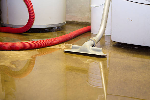 Best Fire Damage Restoration  in Mount Oliver, PA