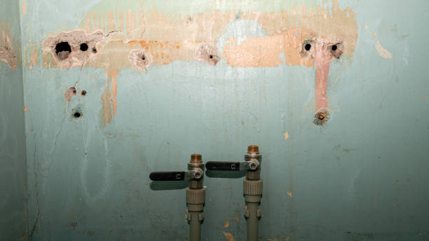 Best Water damage restoration services  in Mount Oliver, PA