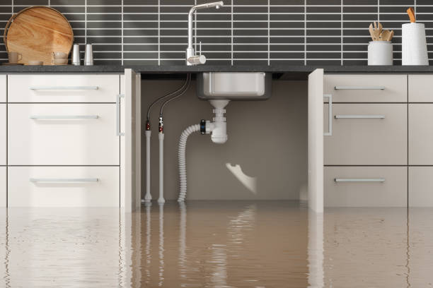  Mount Oliver, PA Water damage restoration Pros