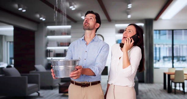 Best Water damage repair service  in Mount Oliver, PA
